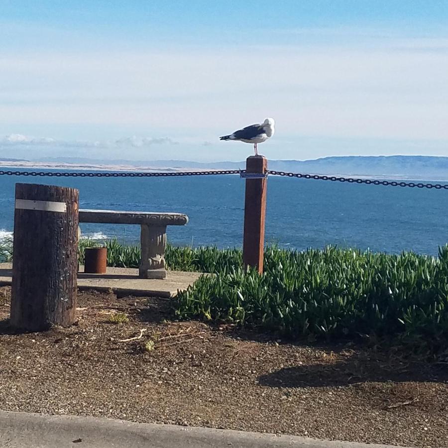 Shell Beach Inn Pismo Beach Zewnętrze zdjęcie